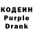 Кодеиновый сироп Lean напиток Lean (лин) Family Travel