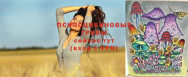 первитин Медвежьегорск