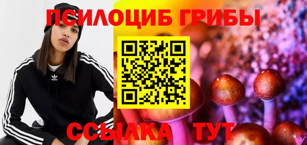 Элиста  Псилоцибиновые грибы мицелий  Вход с VPN  Псилоцибиновые грибы Psilocybe 